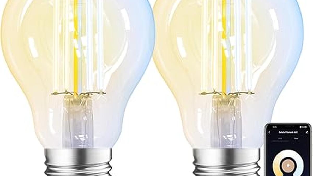 ANTELA Lampadine Alexa a Filamento E27